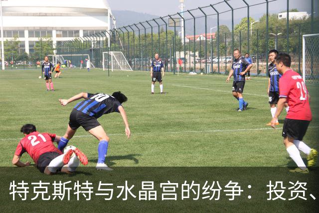 特克斯特与水晶宫的纷争：投资、分歧与欧联资格的失落